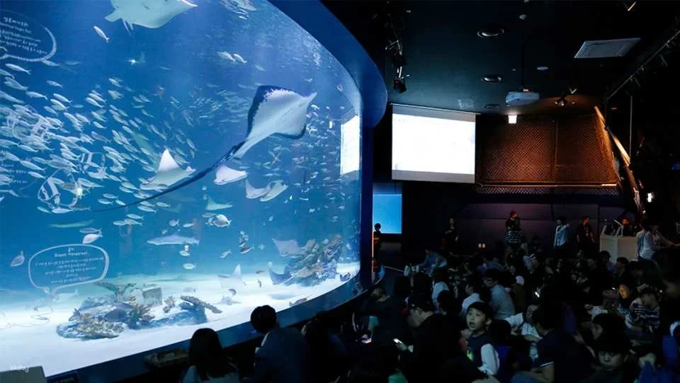 Alive Aquarium Daegu Ticket