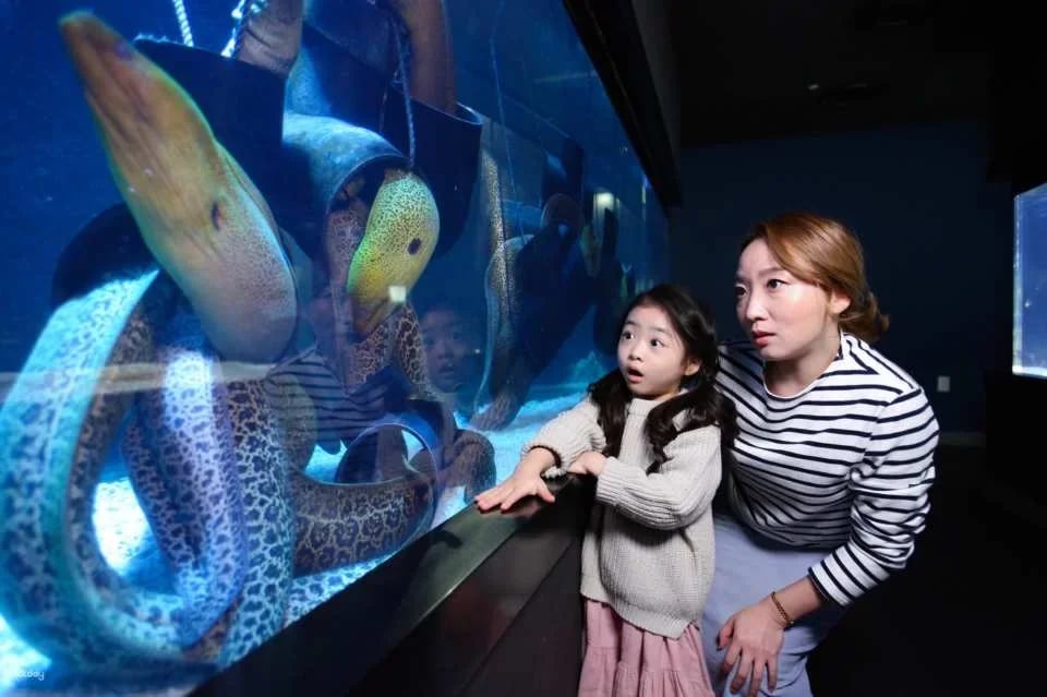 Alive Aquarium Daegu Ticket