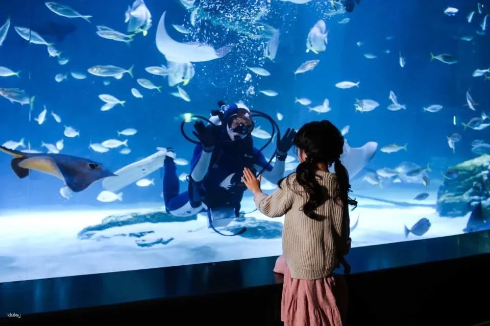 Alive Aquarium Daegu Ticket