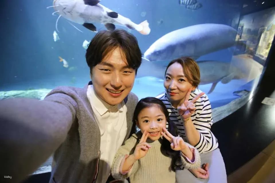 Alive Aquarium Daegu Ticket