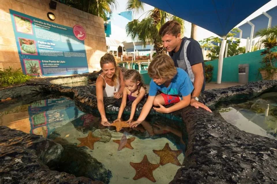 Go City | Cancun All-Inclusive Pass