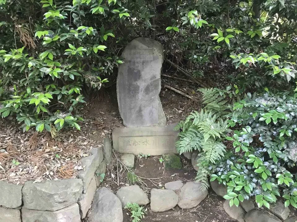 Tokyo Ghibli Museum Ticket & Inokashira Park Tour (Guaranteed Entry)
