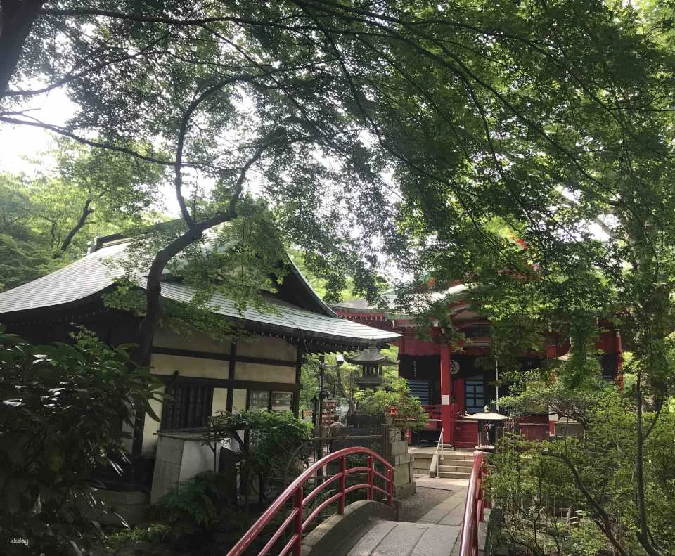 Tokyo Ghibli Museum Ticket & Inokashira Park Tour (Guaranteed Entry)