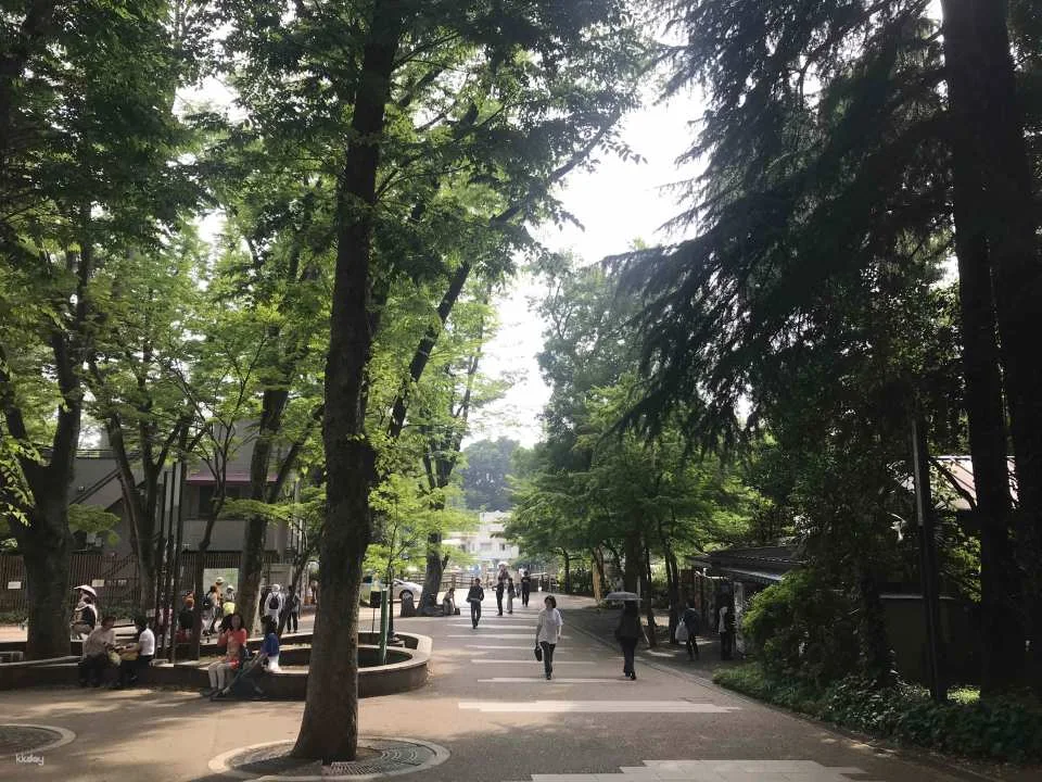 Tokyo Ghibli Museum Ticket & Inokashira Park Tour (Guaranteed Entry)