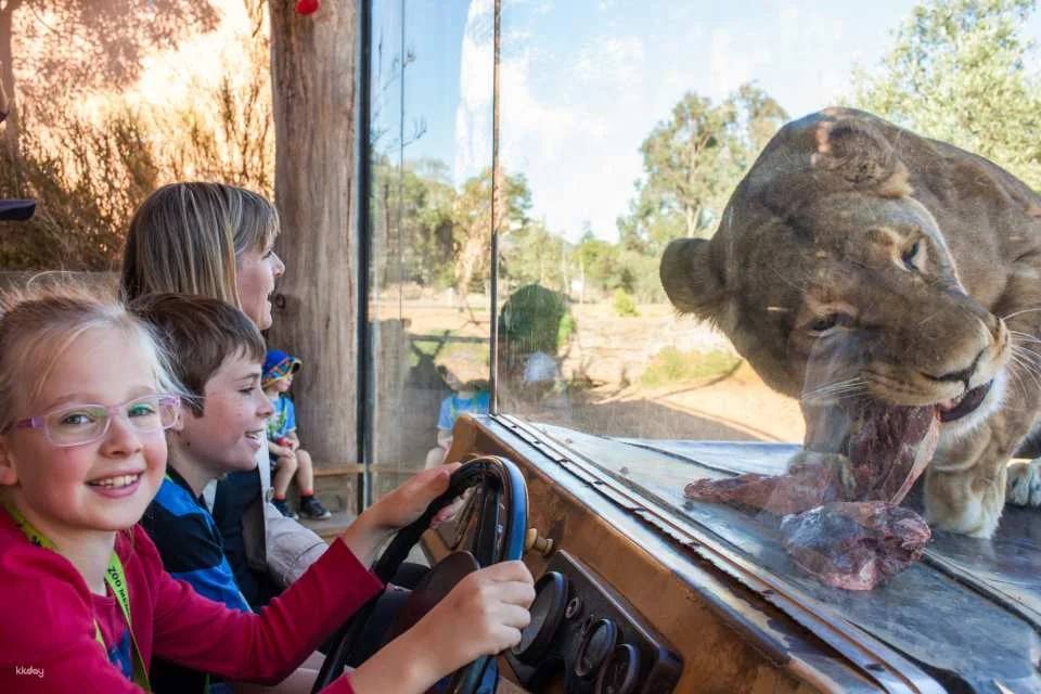 [Eco Tour] Melbourne Werribee Open Range Zoo Ticket | Victoria