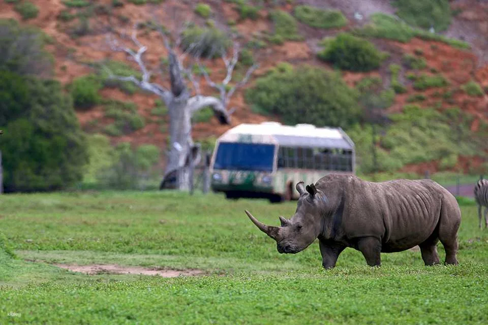 [Eco Tour] Melbourne Werribee Open Range Zoo Ticket | Victoria