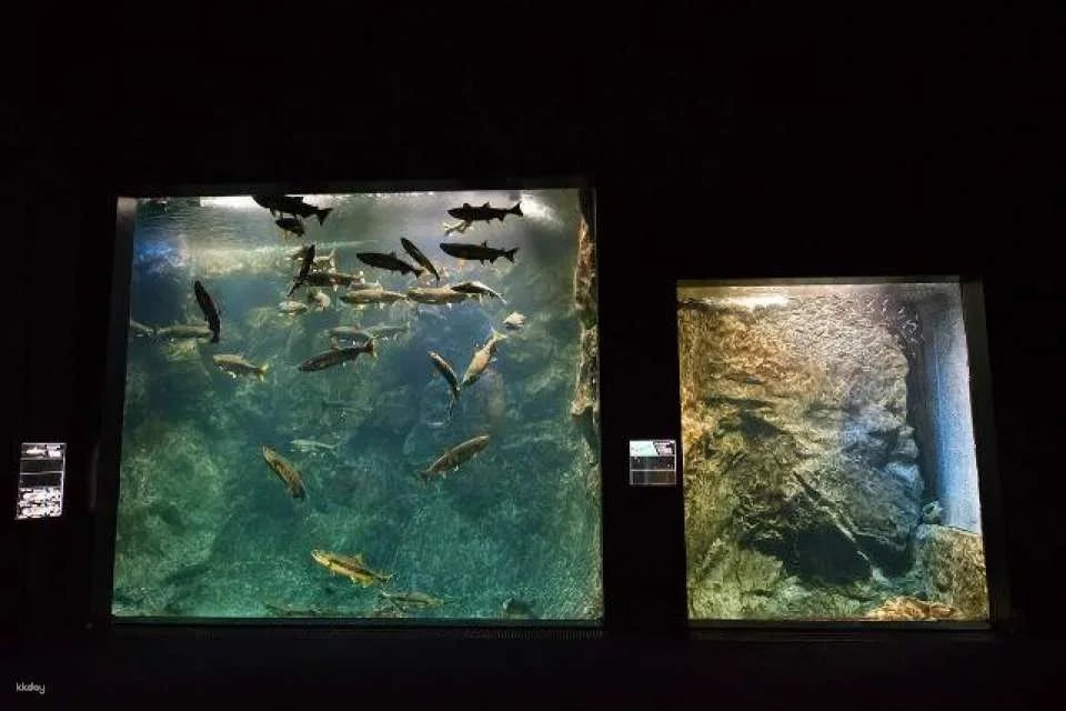 Hokkaido, Japan | Chitose Aquarium , Furusato of Salmon (Tickets)