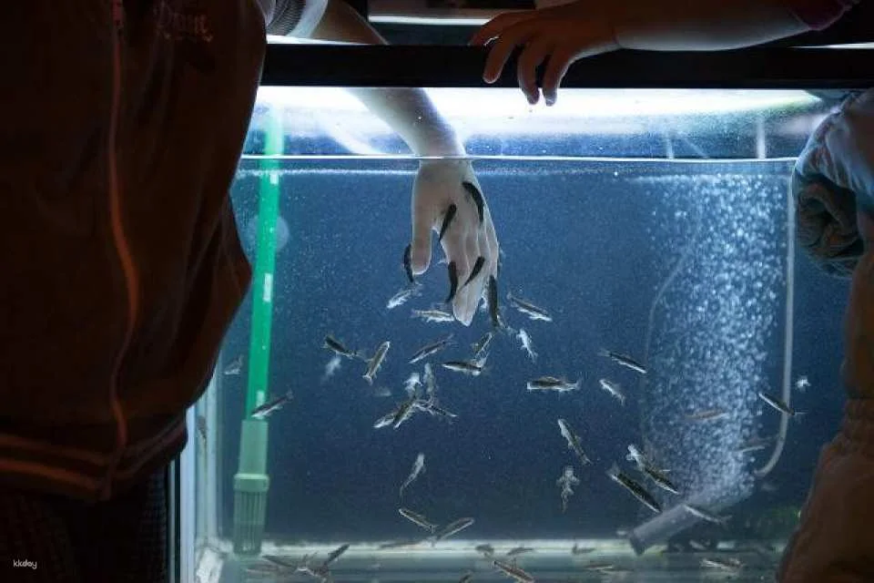 Hokkaido, Japan | Chitose Aquarium , Furusato of Salmon (Tickets)
