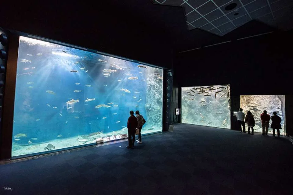 Hokkaido, Japan | Chitose Aquarium , Furusato of Salmon (Tickets)