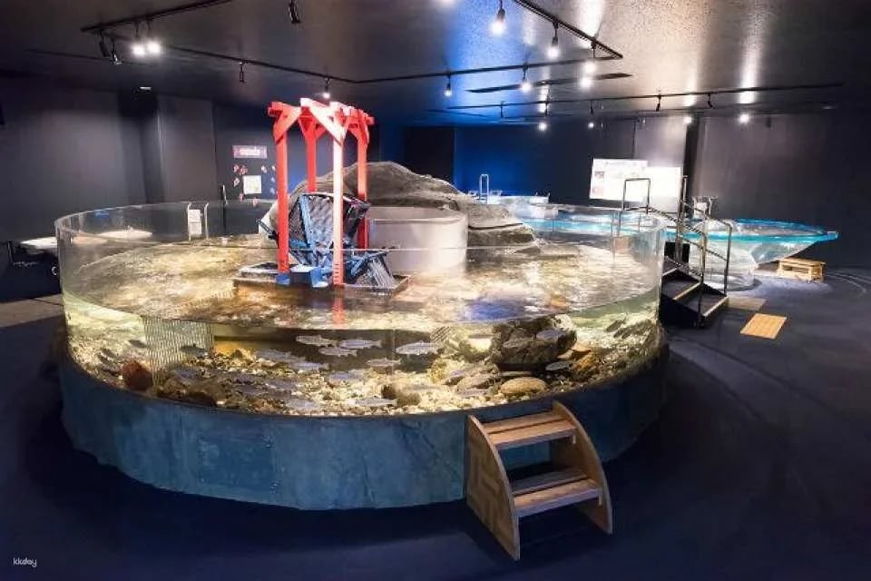 Hokkaido, Japan | Chitose Aquarium , Furusato of Salmon (Tickets)