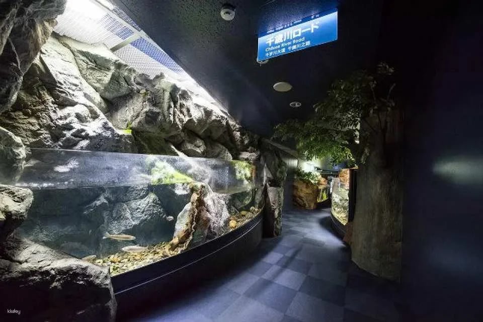Hokkaido, Japan | Chitose Aquarium , Furusato of Salmon (Tickets)