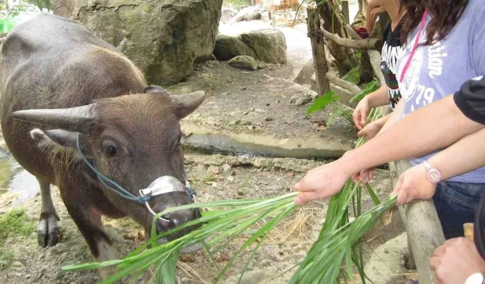 Yilan|Toucheng Leisure Farm|Package Tour・Handicraft Class
