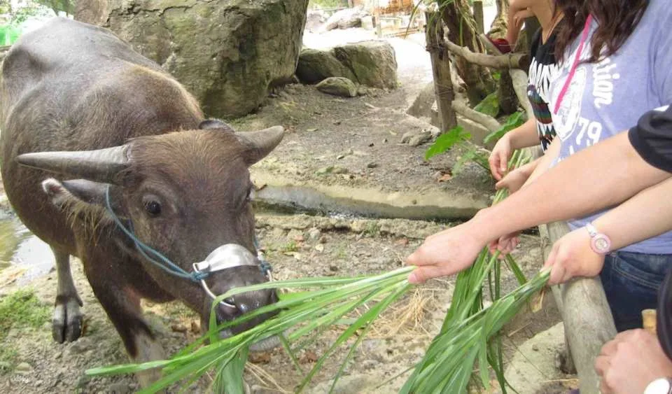 Yilan|Toucheng Leisure Farm|Package Tour・Handicraft Class