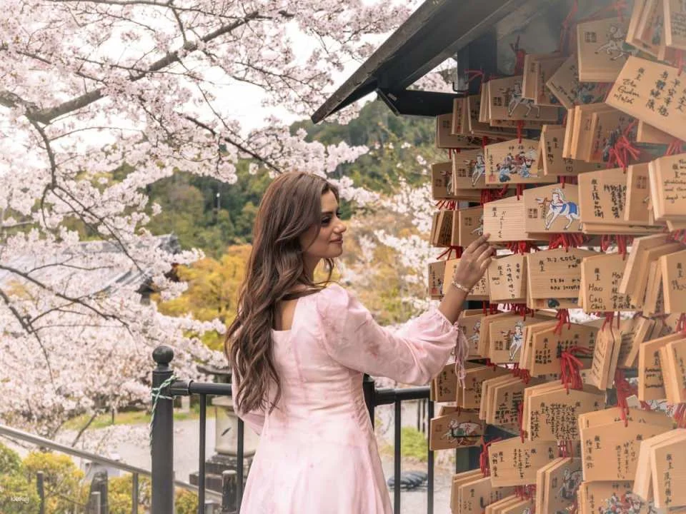 [Kyoto Private Guided Tour] 4-Hour In-Depth Walk Through Gion & Nishiki Market | Exclusive Guided Tour & Photographer Included / Guided Tour (Optional)