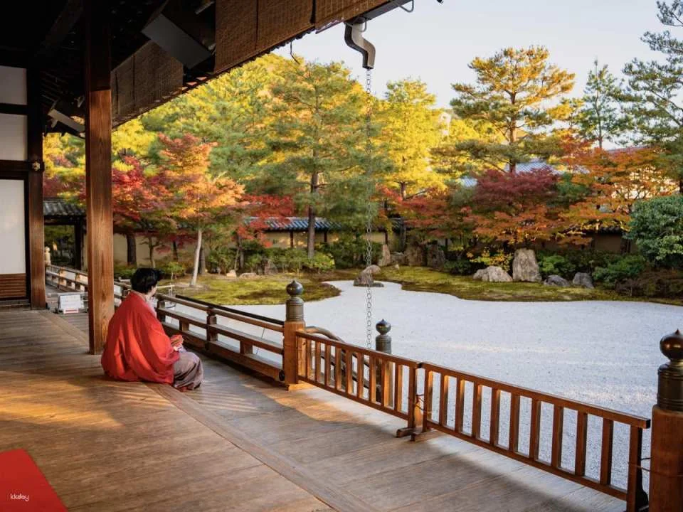 [Kyoto Private Guided Tour] 4-Hour In-Depth Walk Through Gion & Nishiki Market | Exclusive Guided Tour & Photographer Included / Guided Tour (Optional)