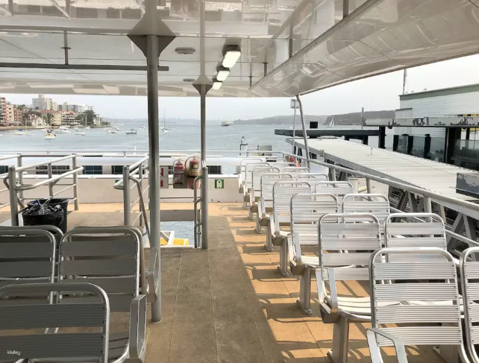 2026 New Year's Eve Fireworks Cruise on Ocean Flyer