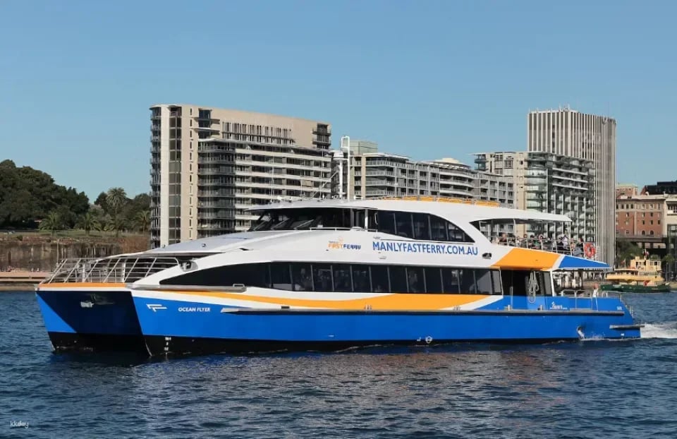 2026 New Year's Eve Fireworks Cruise on Ocean Flyer