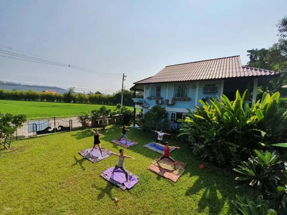 Yoga, Meditation & Self-Care Retreat at Flow Yoga Chiang Mai | Thailand