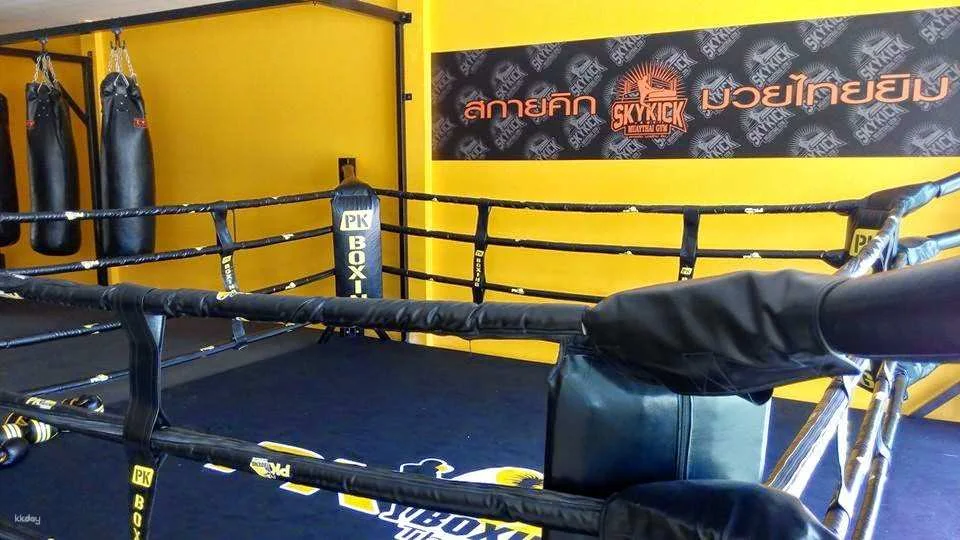 Muay Thai Class at Sky Kick Boxing Gym | Chiang Mai