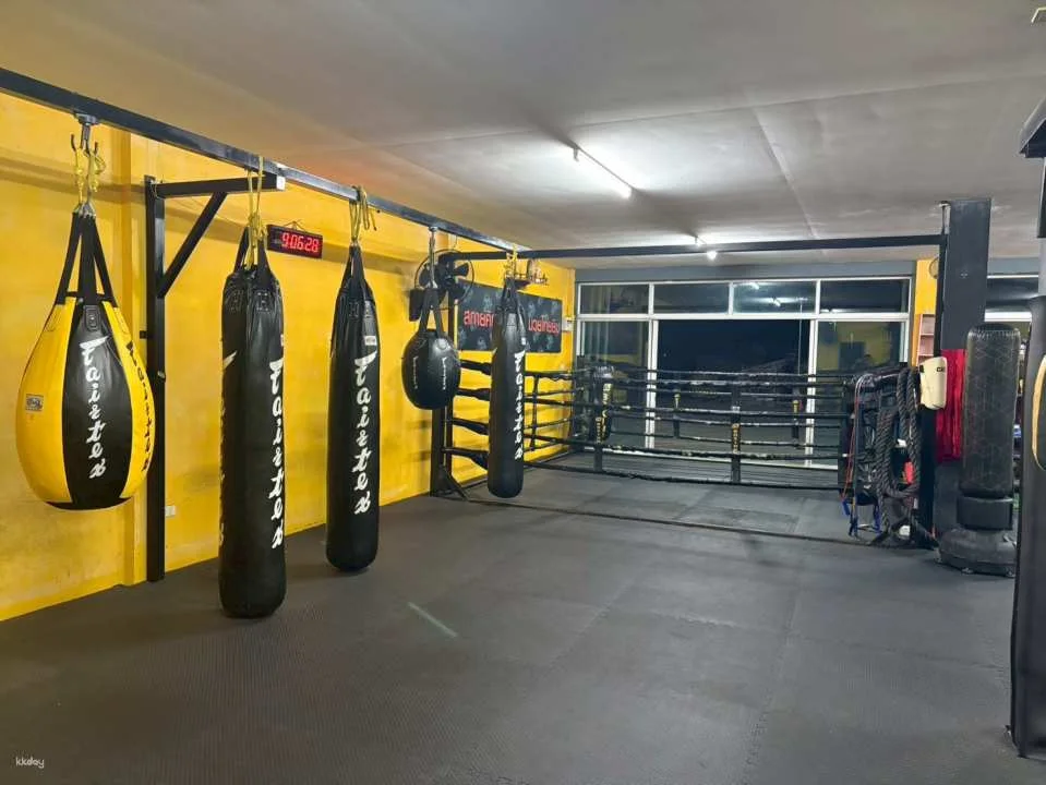 Muay Thai Class at Sky Kick Boxing Gym | Chiang Mai