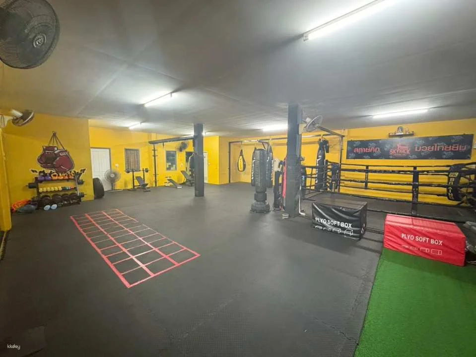 Muay Thai Class at Sky Kick Boxing Gym | Chiang Mai