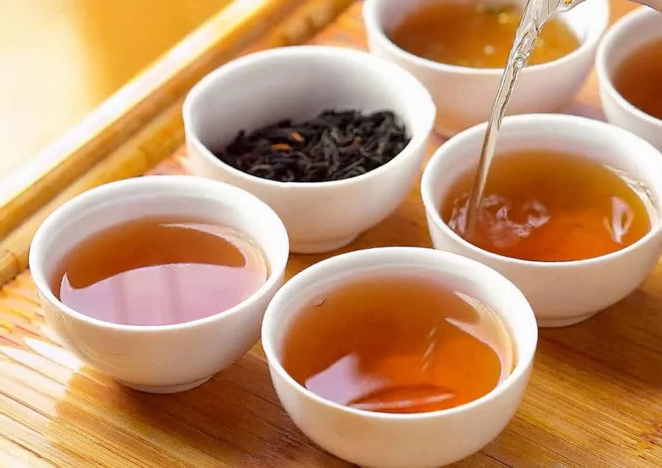 Taipei Yongkang Street | Taiwanese tea appreciation experience | Chinese, English, and Japanese Service