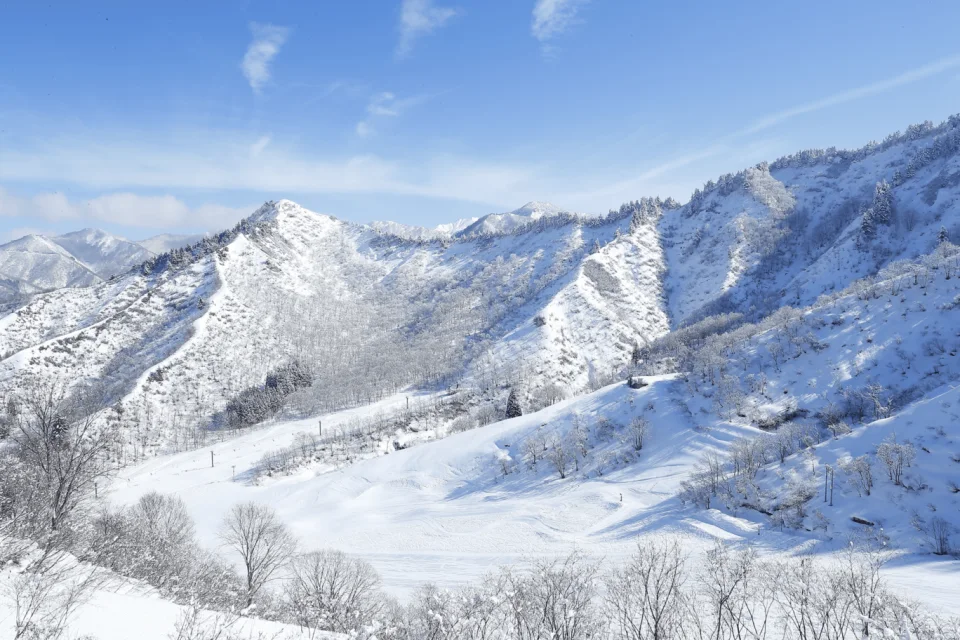 1-day/2-day lift ticket + ski equipment rental at Yuzawa-Nakasato Ski Resort (Niigata)