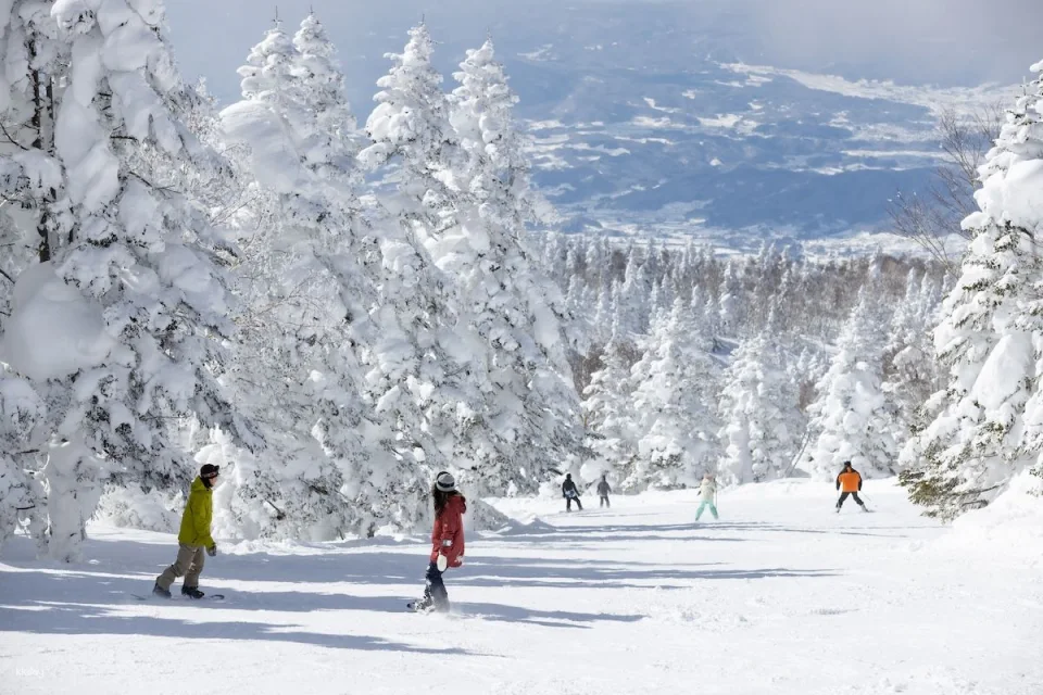 Ryuo Ski Park Nagano | 1-Day Lift Pass + Snowboard & Wear Rental