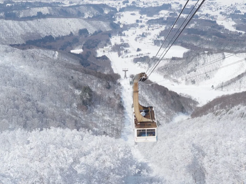 Ryuo Ski Park Nagano | 1-Day Lift Pass + Snowboard & Wear Rental