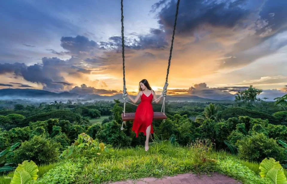 Palawan Swing Admission and Transfer | Philippines