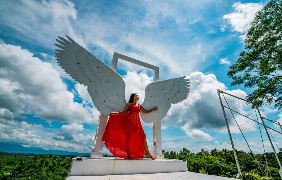 Palawan Swing Admission and Transfer | Philippines