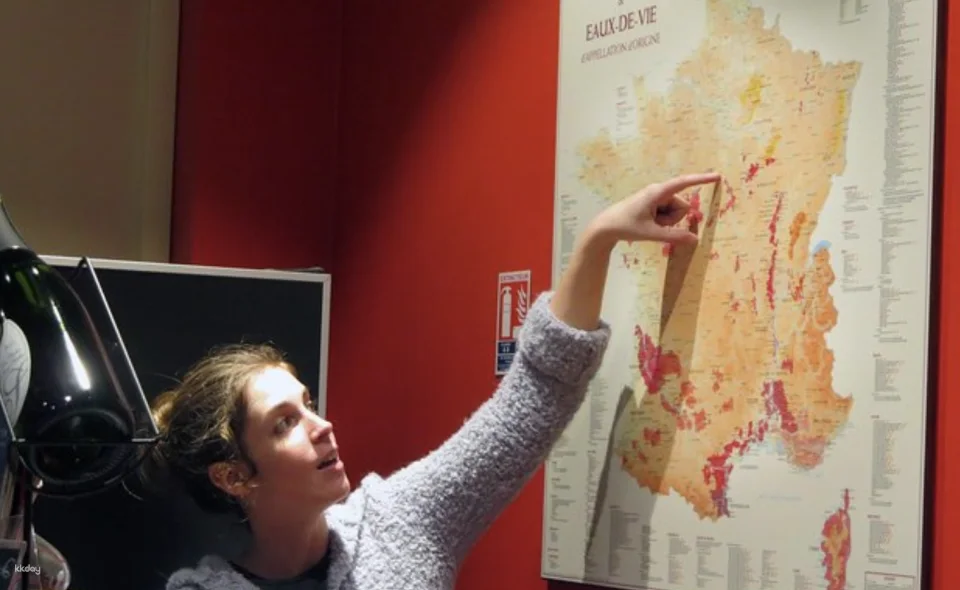 [Small Group] Paris: Wine and Cheese Tasting Class near Le Marais | France