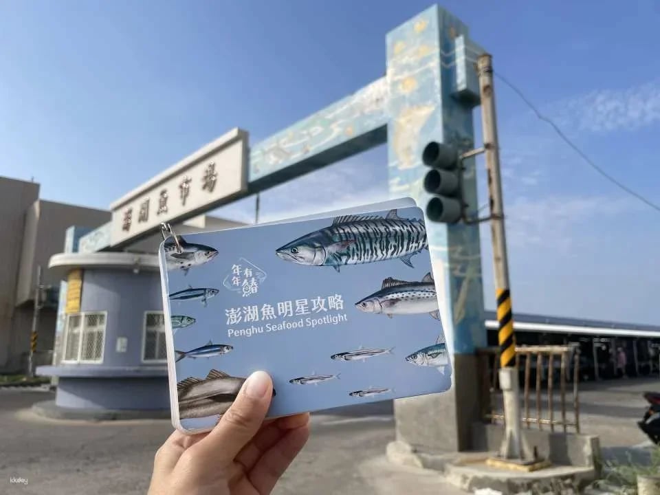 Penghu Magong Fishing Port Market Guide|There are fish every year