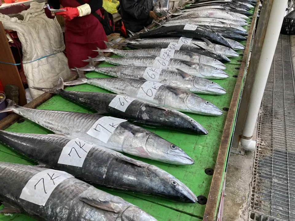 Penghu Magong Fishing Port Market Guide｜There are fish every year