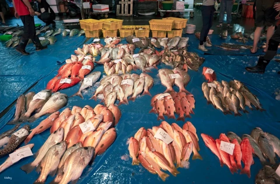 Penghu Magong Fishing Port Market Guide｜There are fish every year