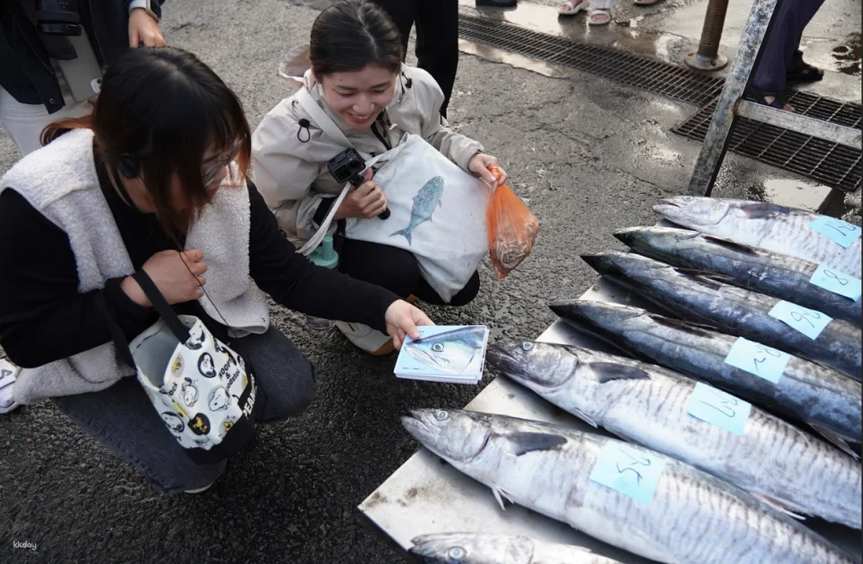 Penghu Magong Fishing Port Market Guide｜There are fish every year