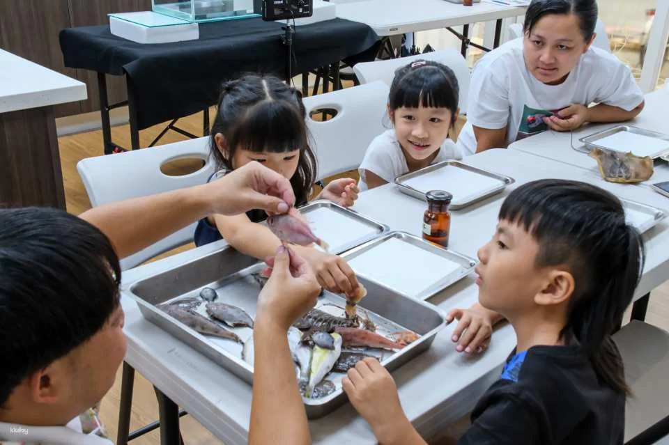 Penghu fish specimen making course｜There are mackerels every year