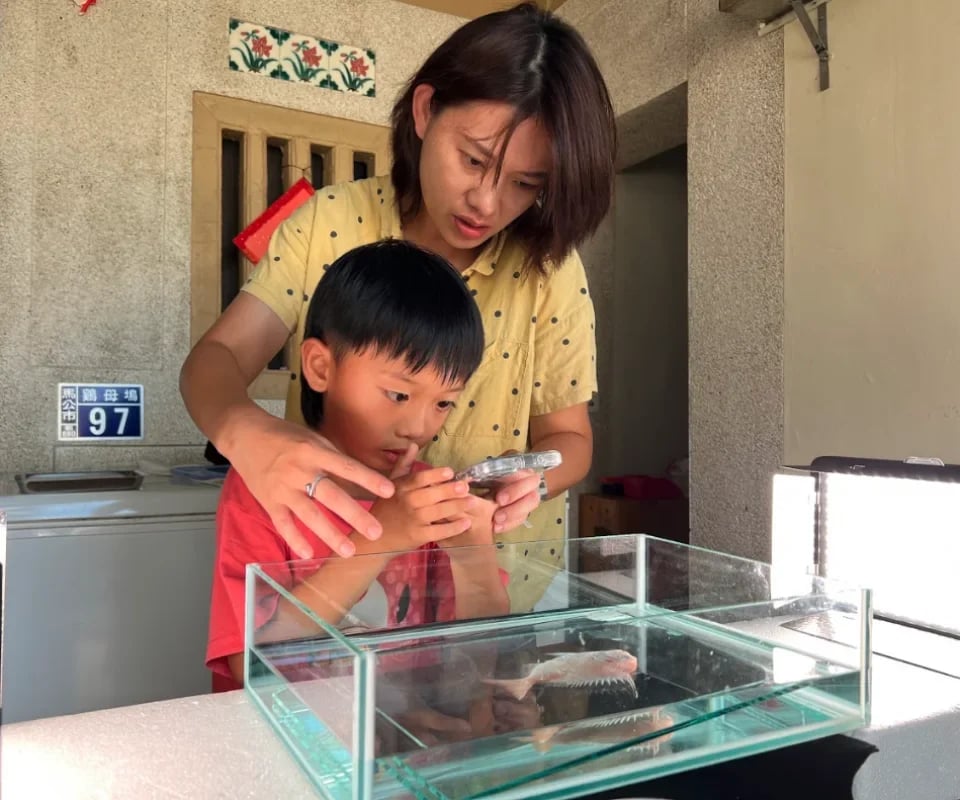 Penghu fish specimen making course｜There are mackerels every year
