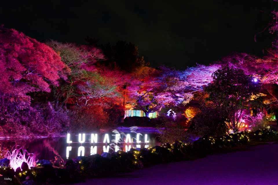[Jeju] Lunafall Ticket