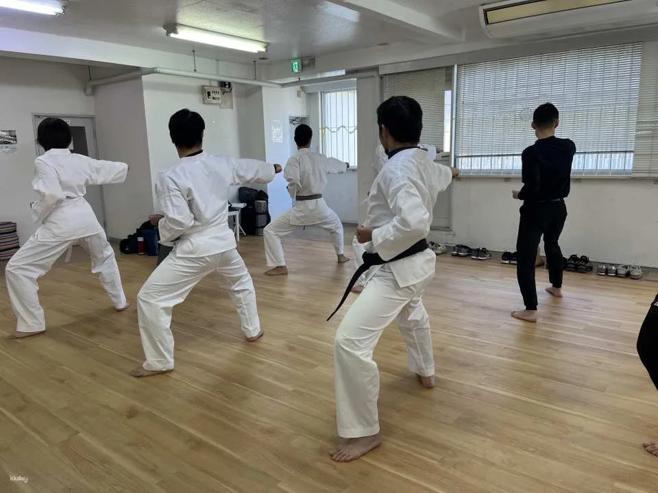 Japanese Calligraphy and karate Experience in Kagoshima