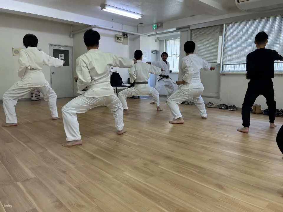 Japanese Calligraphy and karate Experience in Kagoshima