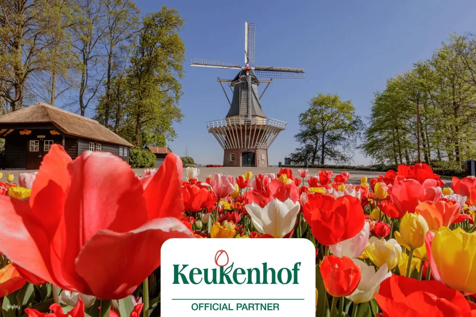 Keukenhof : Entry Ticket + Windmill Cruise + Transport| Netherlands