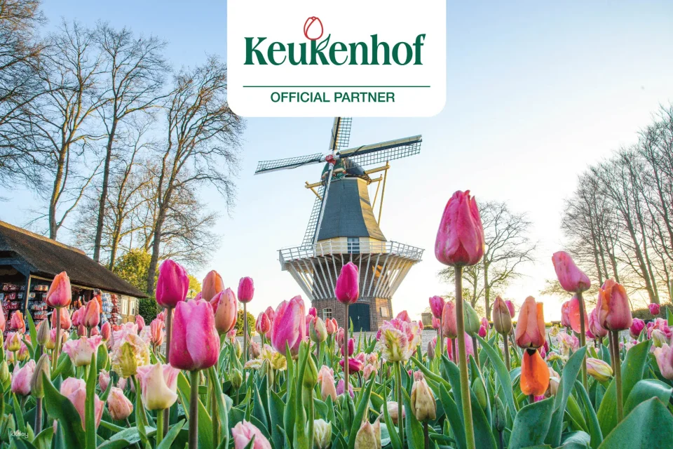 Keukenhof : Entry Ticket + Windmill Cruise + Transport| Netherlands