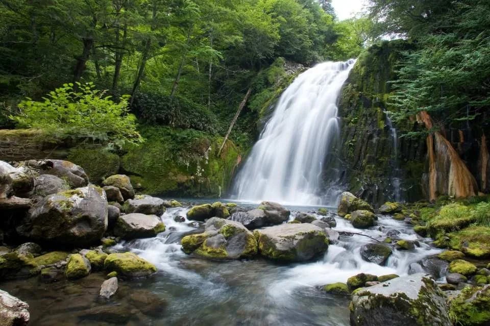 Gifu, Japan｜Hida Takayama and Gero Hot Spring 2-day free pass