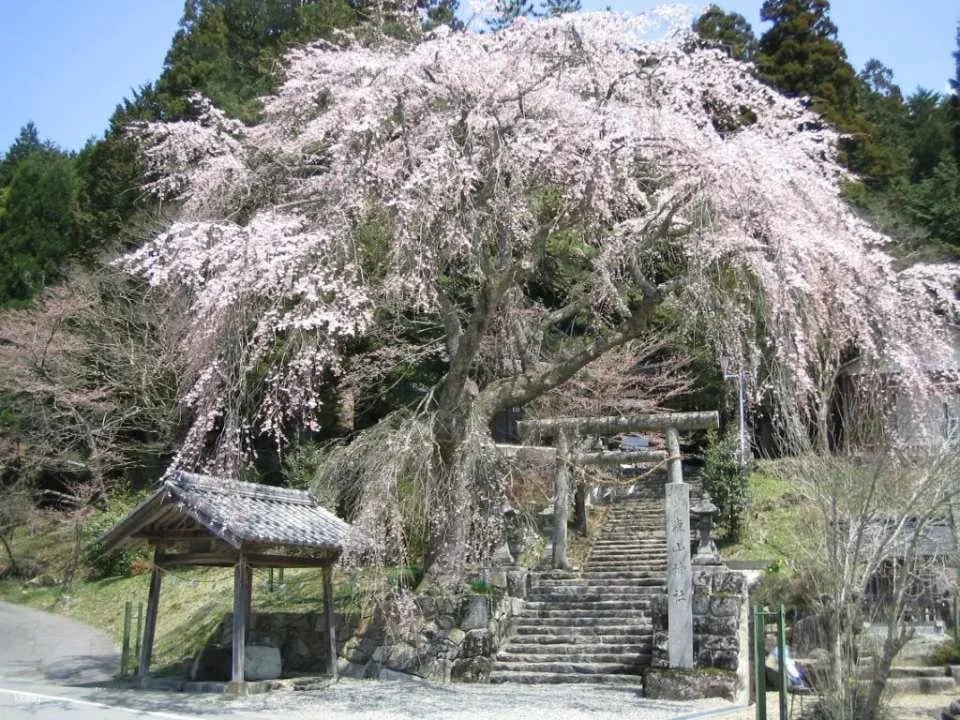 Gifu, Japan｜Hida Takayama and Gero Hot Spring 2-day free pass