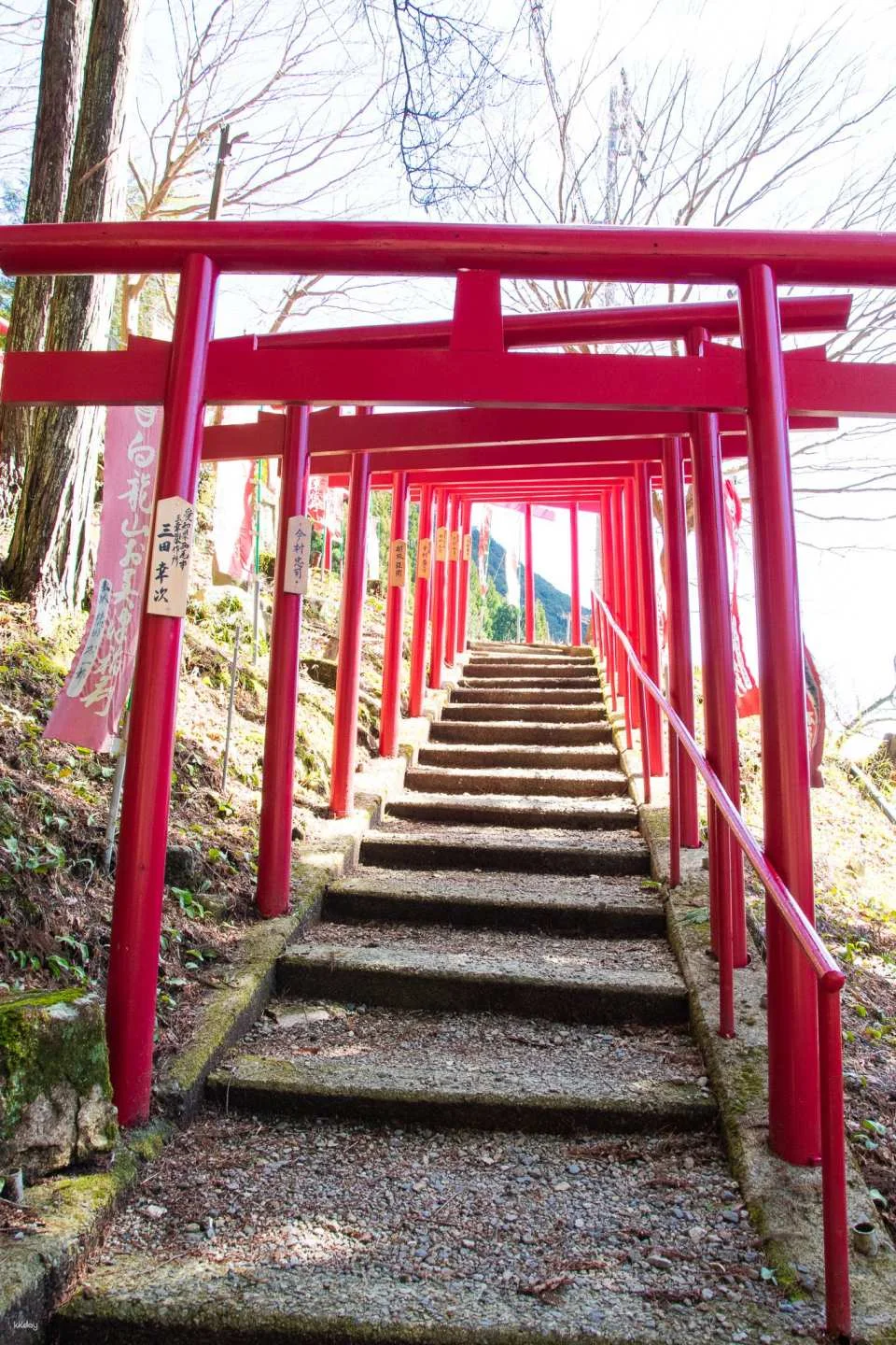 Gifu, Japan｜Hida Takayama and Gero Hot Spring 2-day free pass
