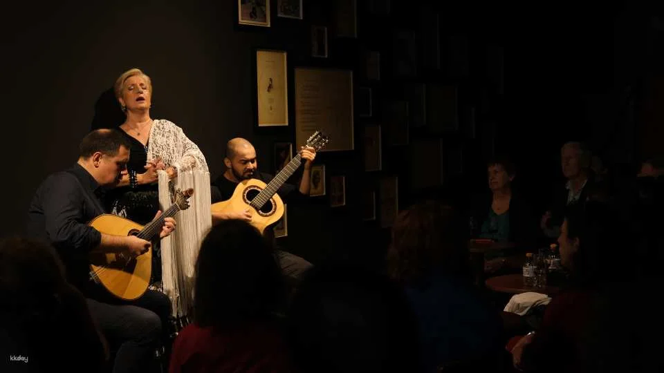 Porto Traditional Fado Concert｜Portugal