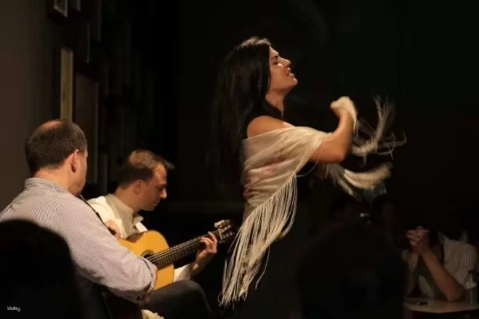 Porto Traditional Fado Concert｜Portugal