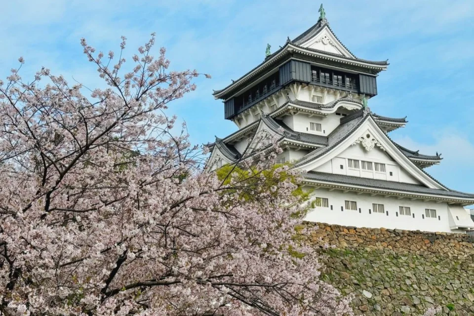 Japan Kyushu Fun Pass｜Optional Combination Ticket｜kyushu funPass