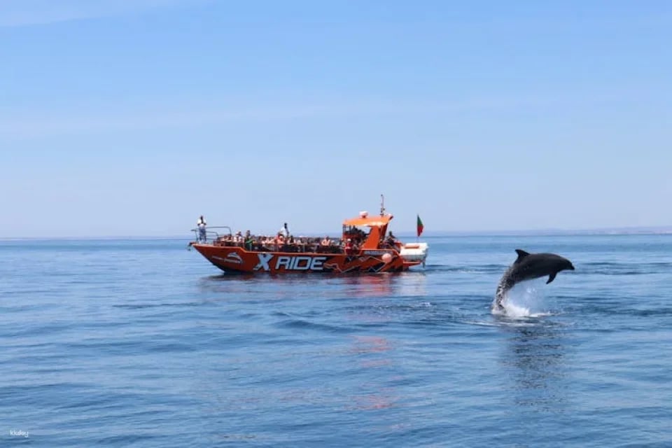 Dolphins and Caves Cruise Tour in Albufeira